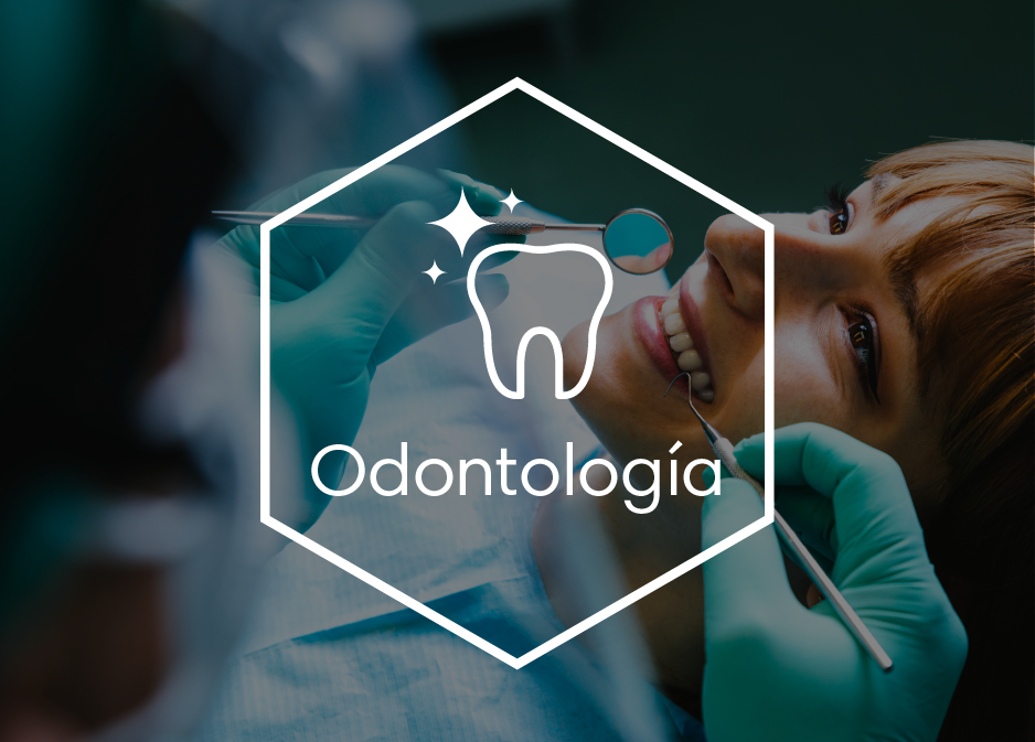 Odontologia